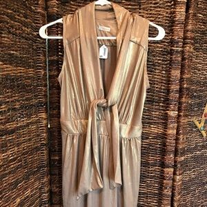 Rubber Ducky Productions, Inc., Gold Lame Dress